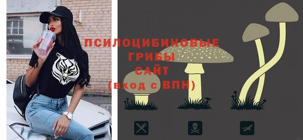 дживик Абинск