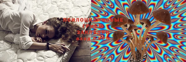 винт Магадан