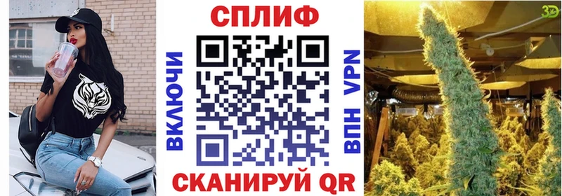 Канабис VHQ  где найти наркотики  Андреаполь 